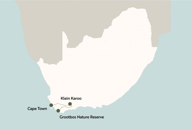 Ocean & The Magical Karoo
