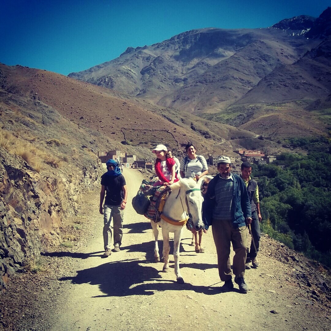 Mule Trekking