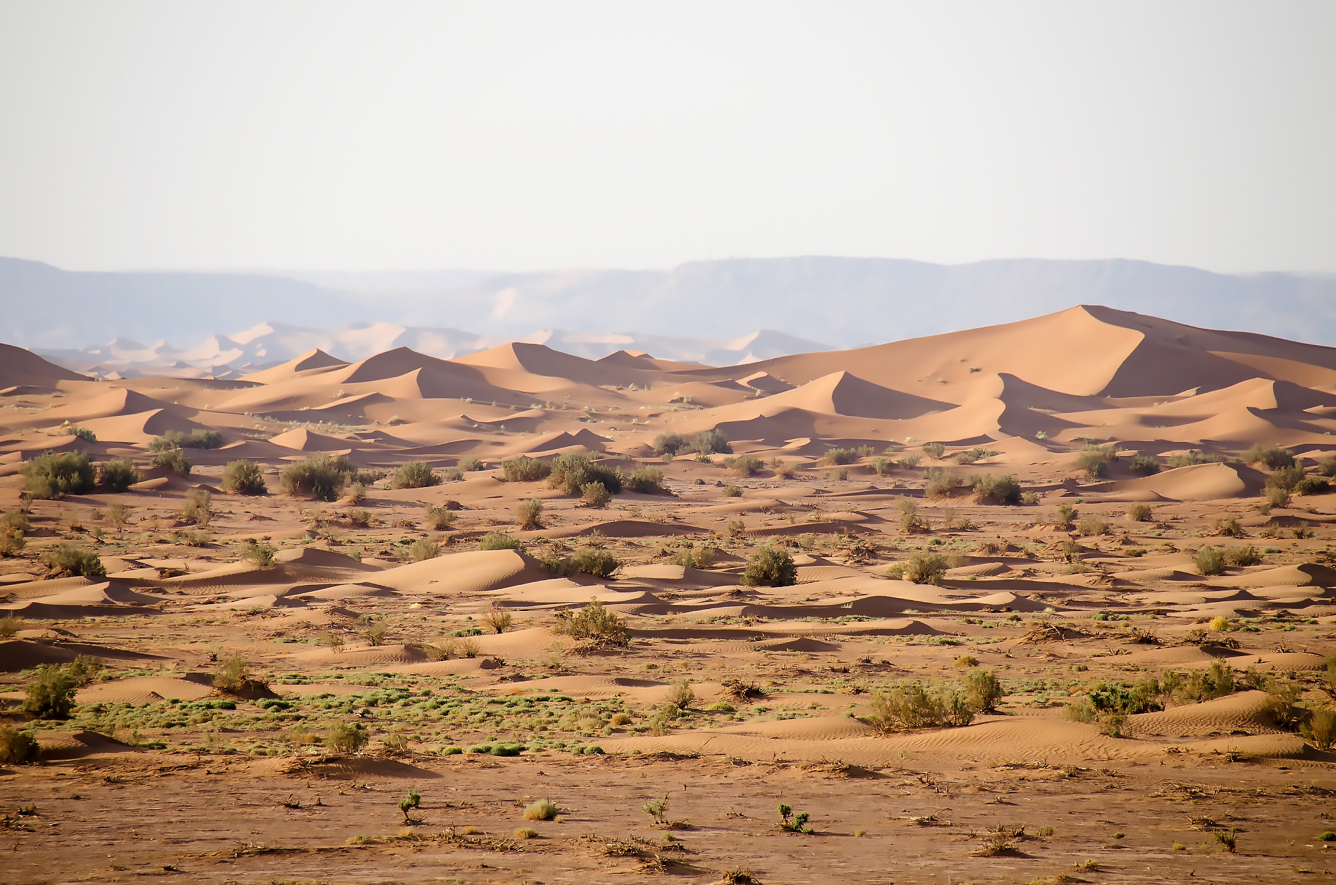 Moroccan Sahara