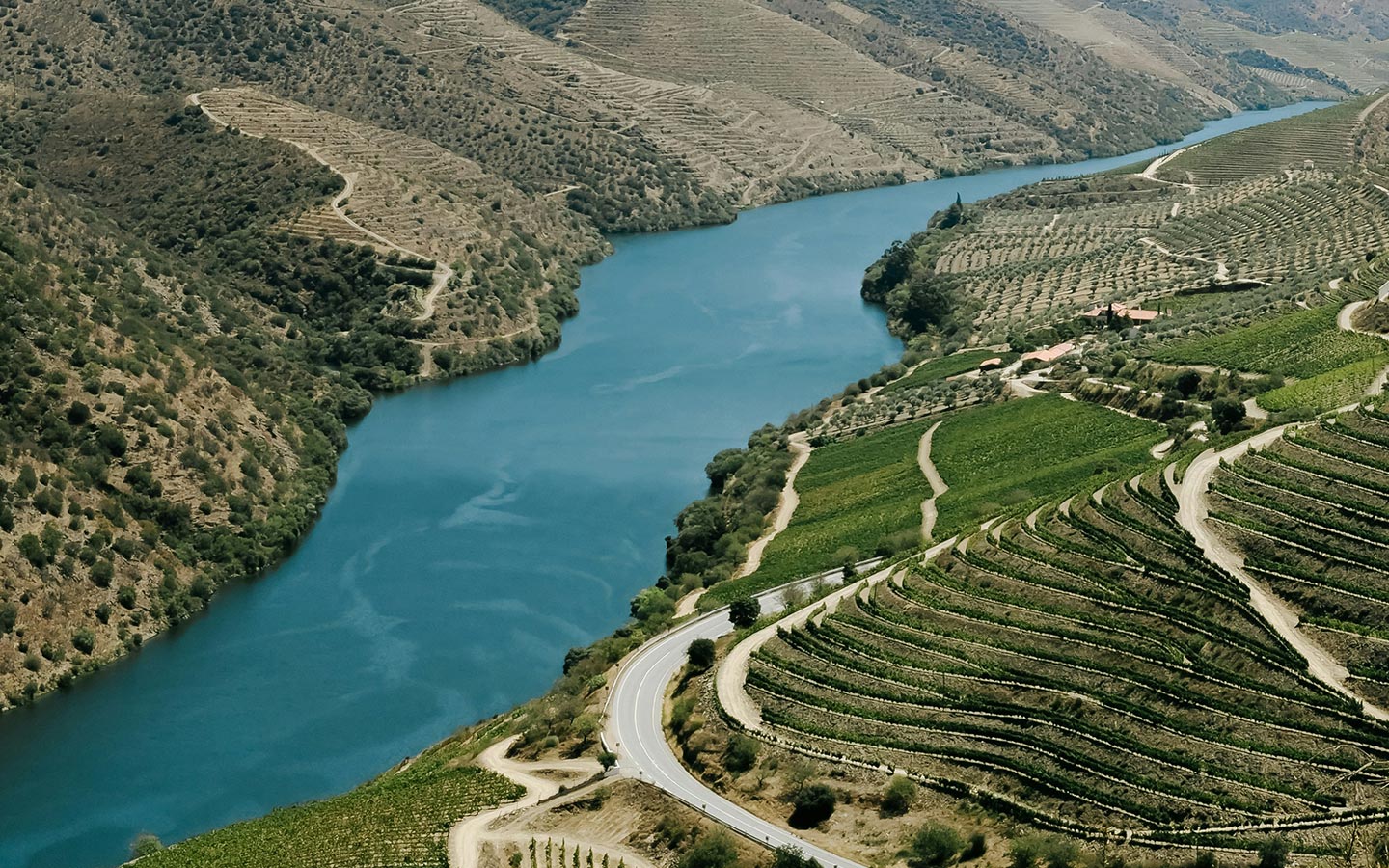 Paddle Power: A two-day Douro River kayak journey