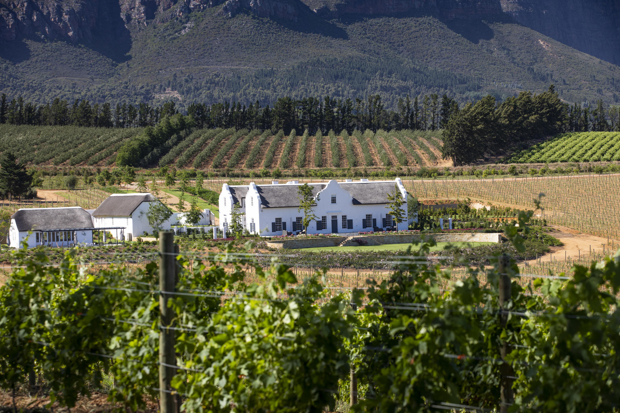 Brookdale Estate