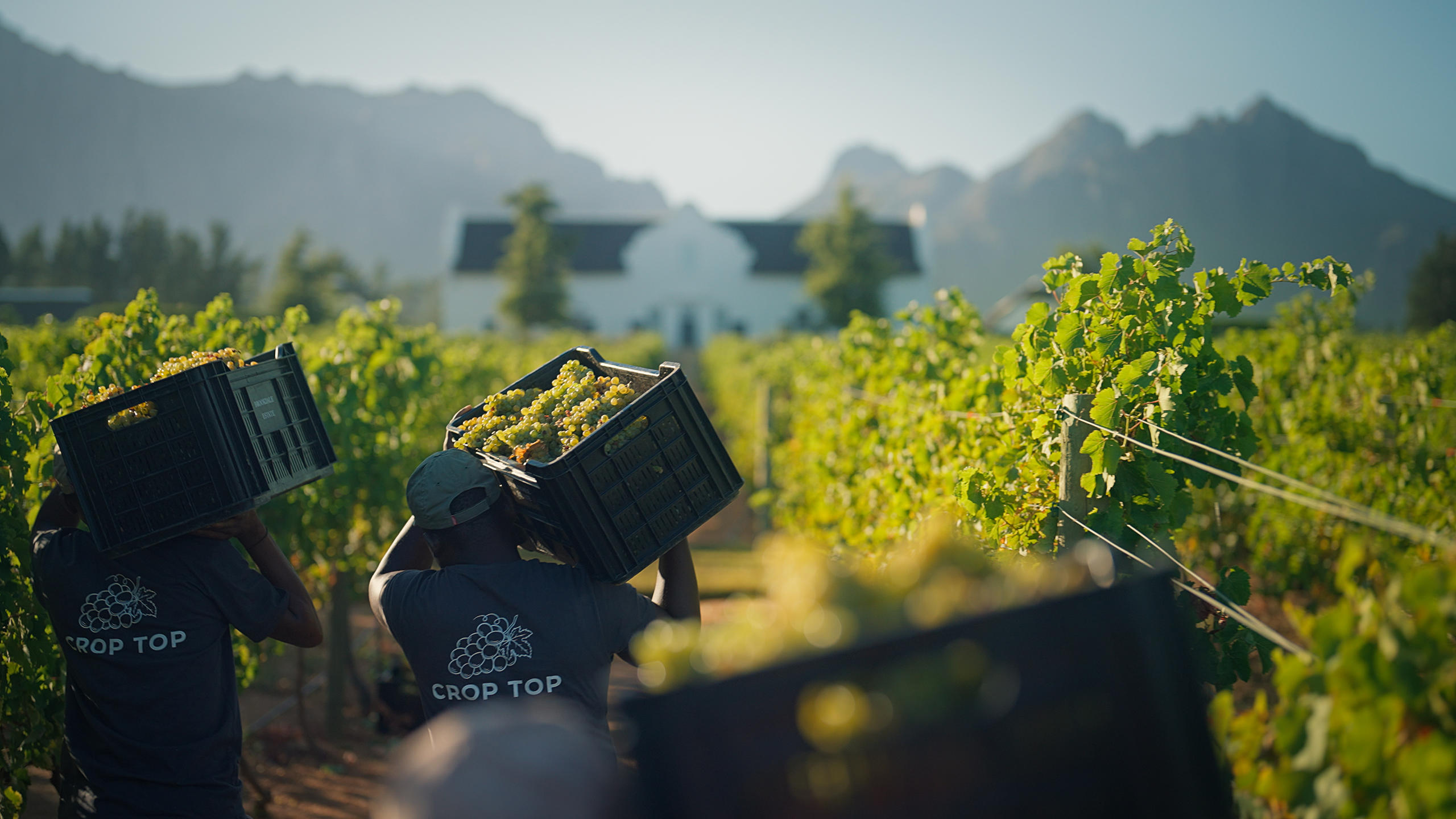 Winelands