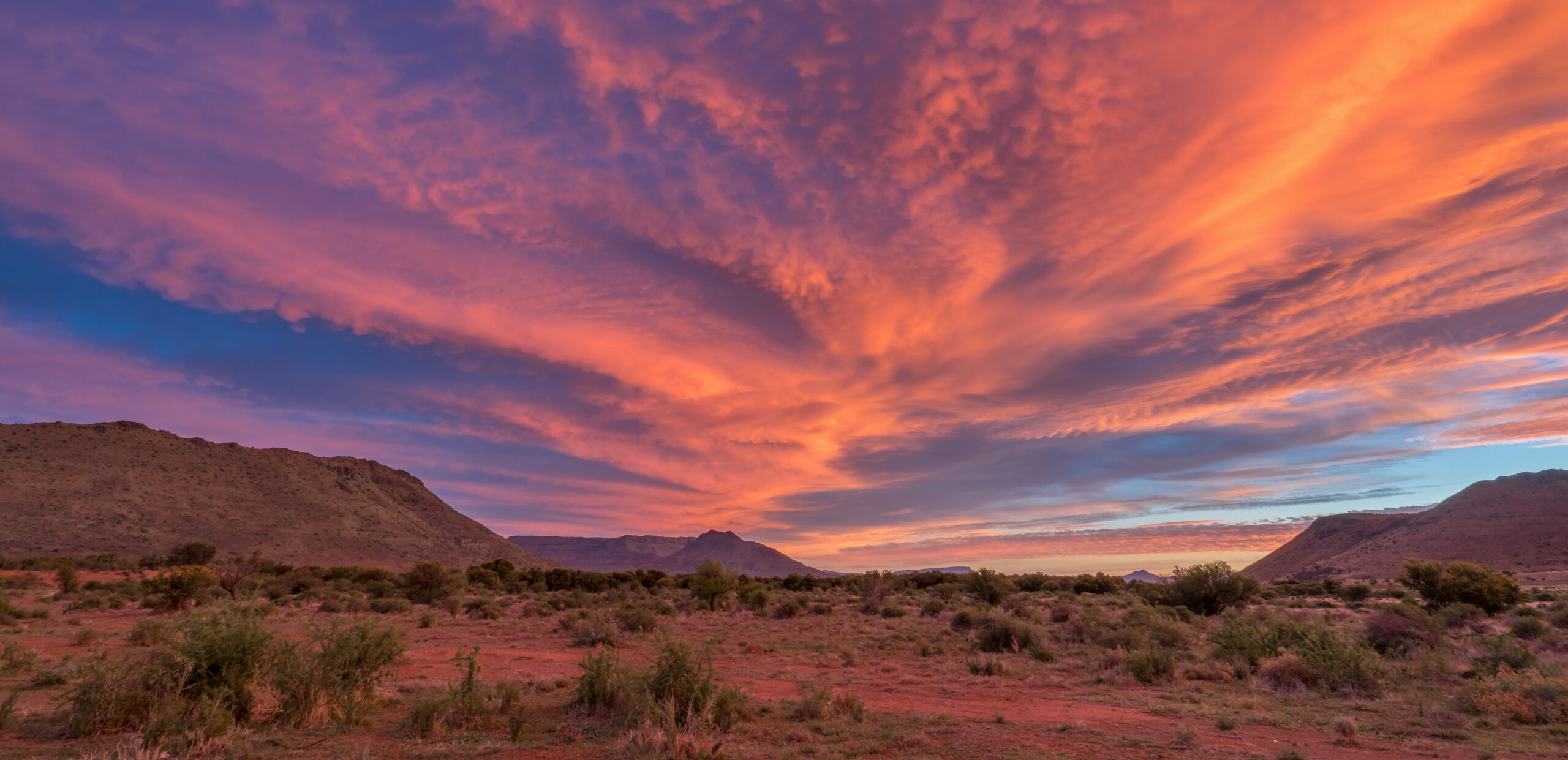Days 6-8: Klein Karoo Immersion