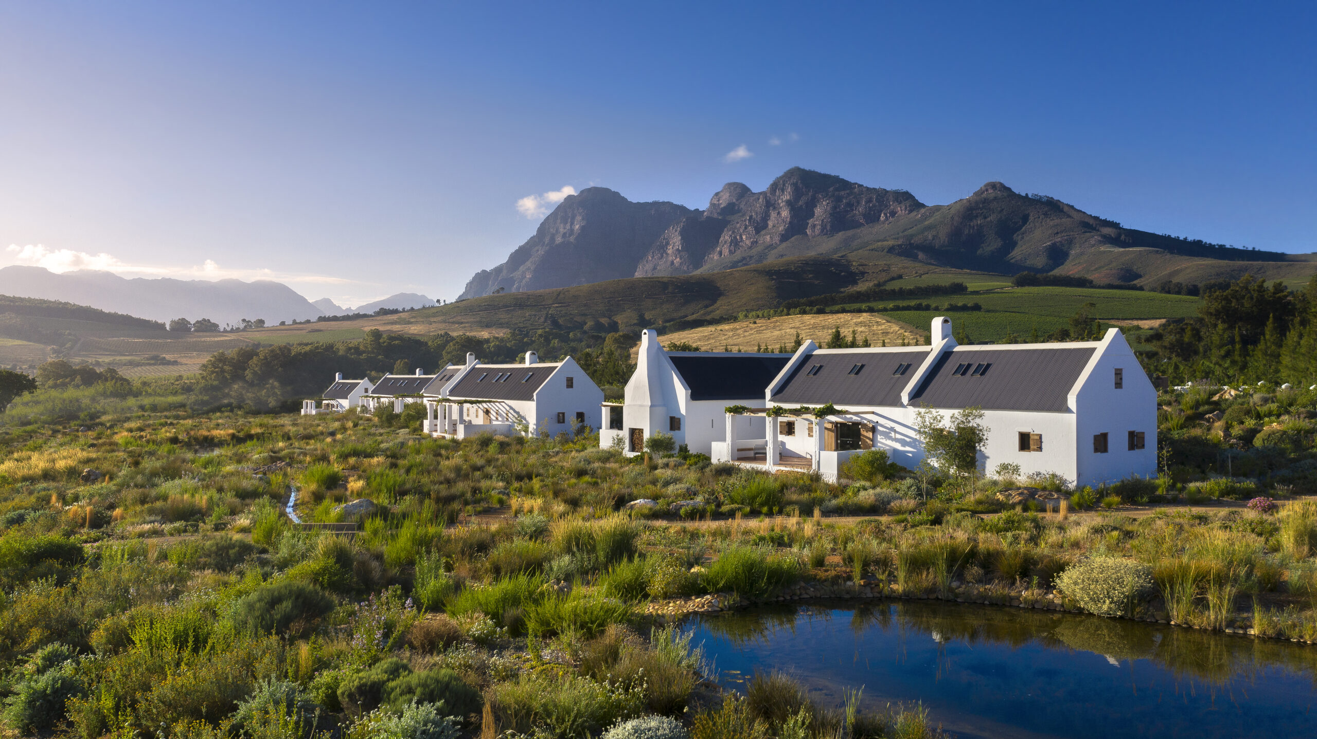 Days 4–8: Babylonstoren – Vineyard Retreat & Gourmet Indulgence