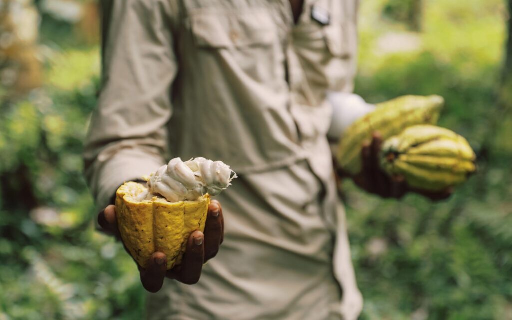 Tasting fresh cacao in Sao Tome and Principe