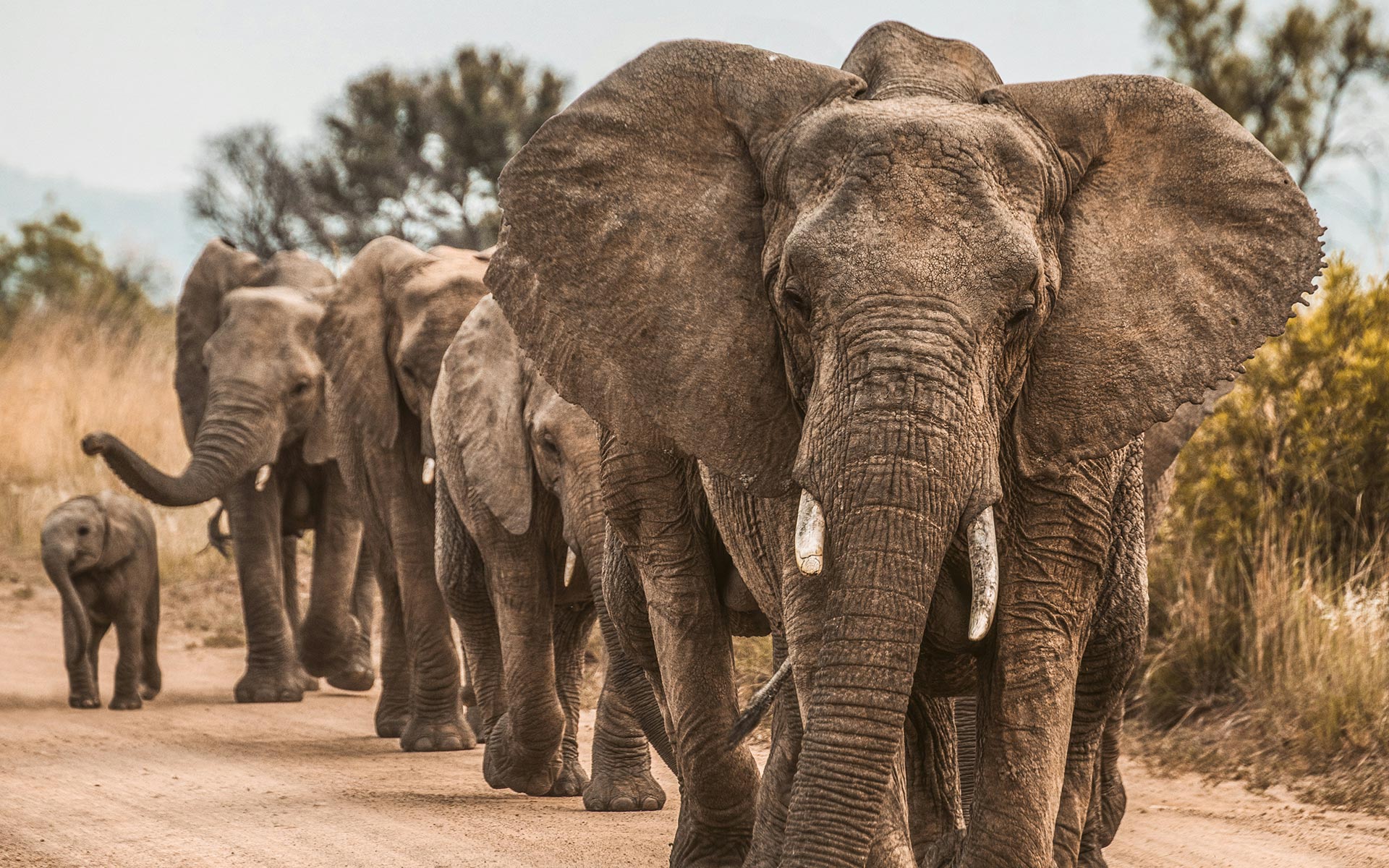 Why you’ll fall in love with South Africa – Epic’s new destination
