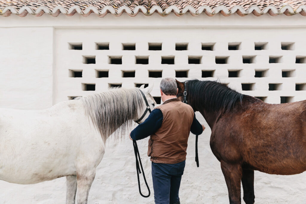 Rural retreat horse riding
