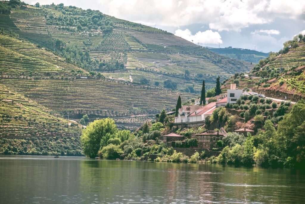 Hills by the Douro